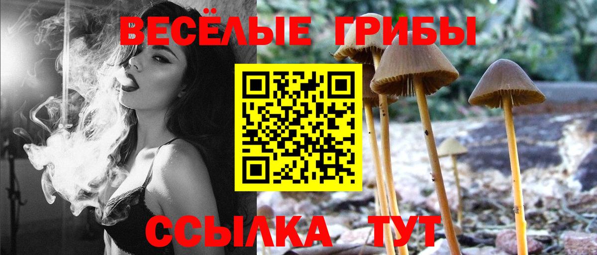 наркотики  Вход с VPN  Ковров  Псилоцибиновые грибы Cubensis 