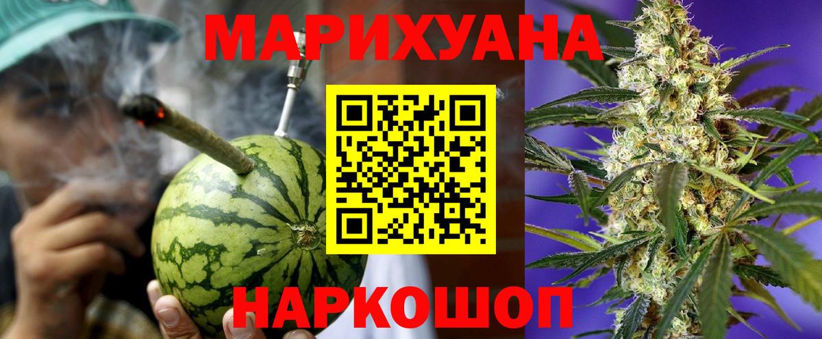 Марихуана сатива Ковров